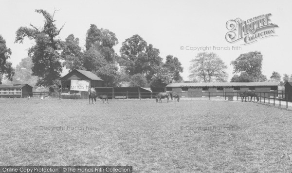 Photo of Langley, Stud Farm c.1965