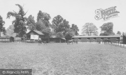 Stud Farm c.1965, Langley