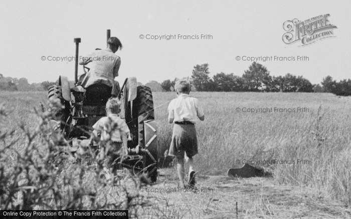 Photo of Latchingdon, Boys Following Tractor 1960
