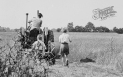 Boys Following Tractor 1960, Latchingdon