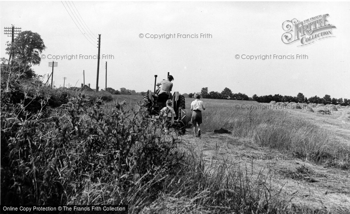 Photo of Latchingdon, Harvesting, Bridgemans Farm 1960