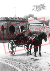 A Horse And Cart, Newport 1911, Launceston
