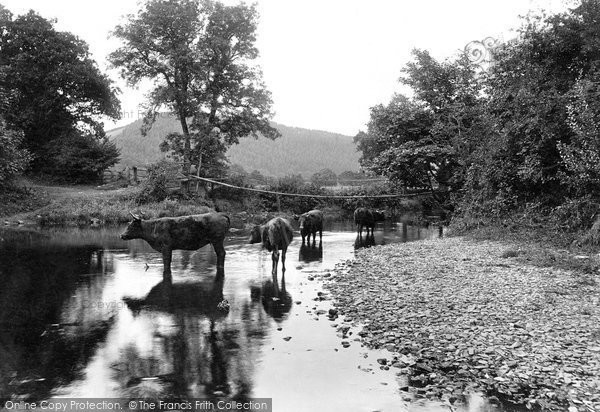 Photo of Launceston, Chain Bridge, River Tamar 1911