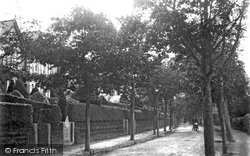 Dunheved Road 1906, Launceston