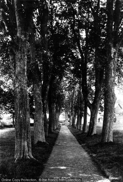Photo of Launceston, St Thomas's Avenue 1893