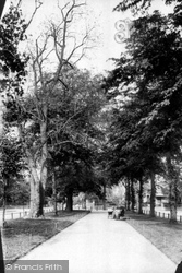 Holly Walk 1892, Leamington Spa