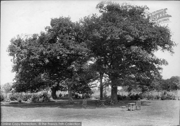 Photo of Leatherhead, Court, The Grounds 1904