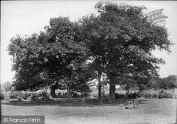 Court, The Grounds 1904, Leatherhead