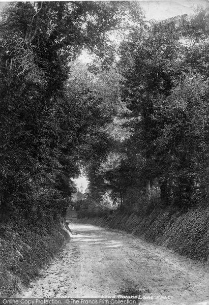 Photo of Leatherhead, Downs Lane 1902