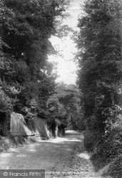 Downs Lane 1902, Leatherhead