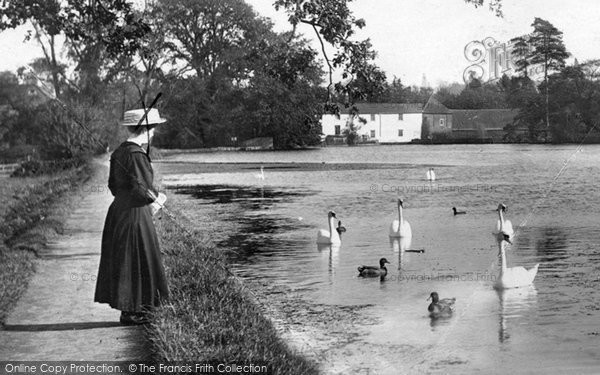 Photo of Leatherhead, Feeding The Swans 1909