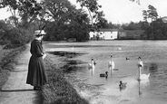 Feeding The Swans 1909, Leatherhead