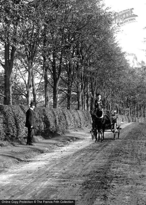 Photo of Leatherhead, Horse And Carriage 1909