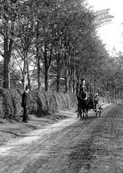 Horse And Carriage 1909, Leatherhead