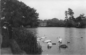 Mill Pond 1895, Leatherhead