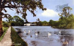 Mill Pond 1909, Leatherhead
