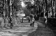 Pedestrians In Headley Road 1909, Leatherhead
