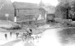 The River Mole And Old Tan Mill 1906, Leatherhead
