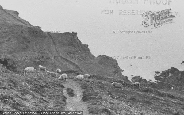 Photo of Lee, Coast Walk To Bull Point c.1955