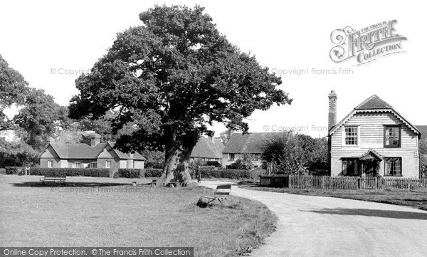 Photo of Leigh, The Old Oak Tree And Green c.1960