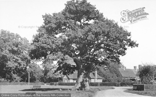 Photo of Leigh, The Old Oak Tree c.1960