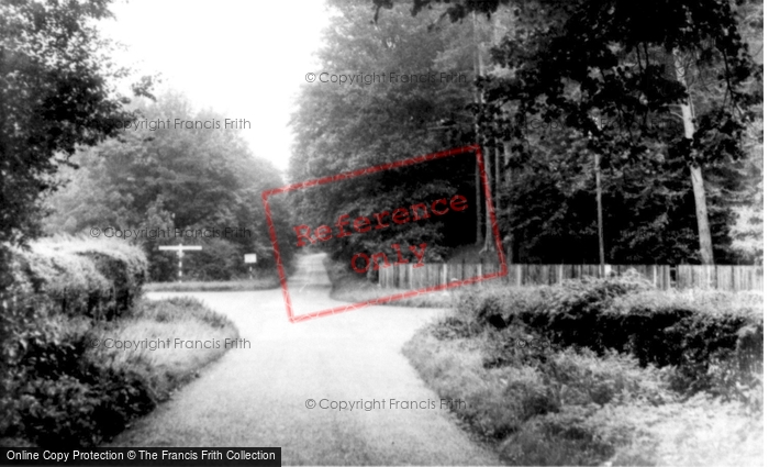 Photo of Leighton Buzzard, Stockgrove Woods c.1955