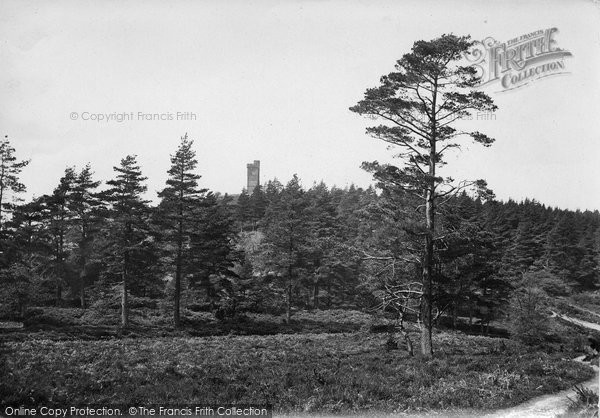Photo of Leith Hill, 1919