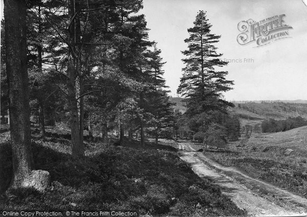 Photo of Leith Hill, Lonesome Valley 1919