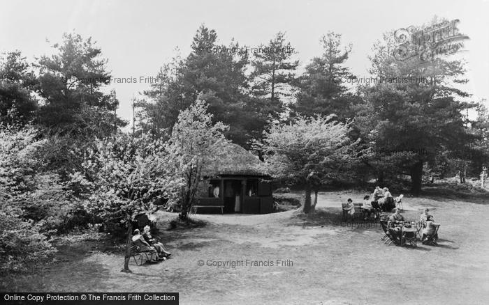 Photo of Leith Hill, The Tea Hut c.1955