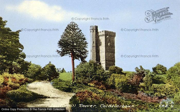 Photo of Leith Hill, The Tower c.1955