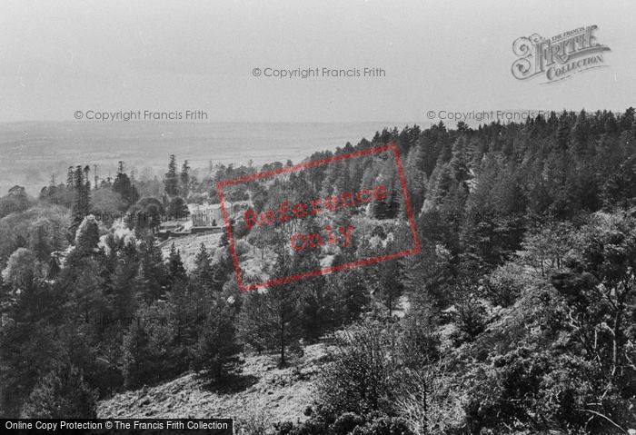 Photo of Leith Hill, View From The Hill 1919