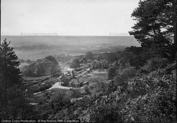 Photo of Leith Hill, View From The Hill 1919