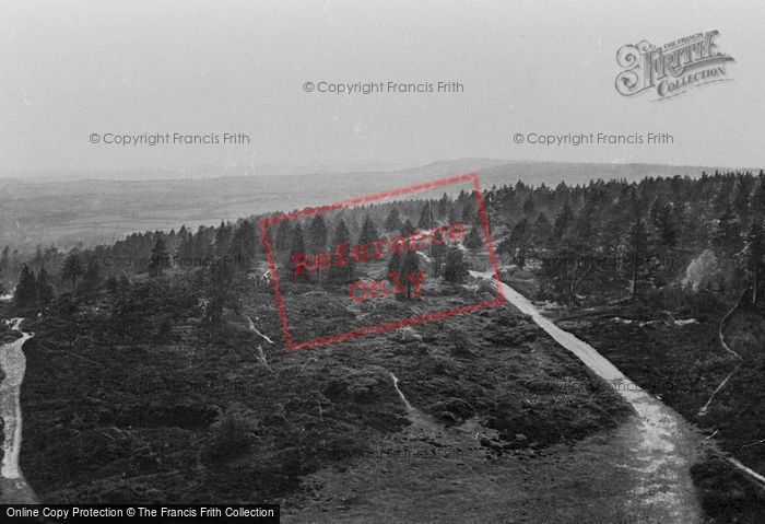 Photo of Leith Hill, View From The Tower 1919