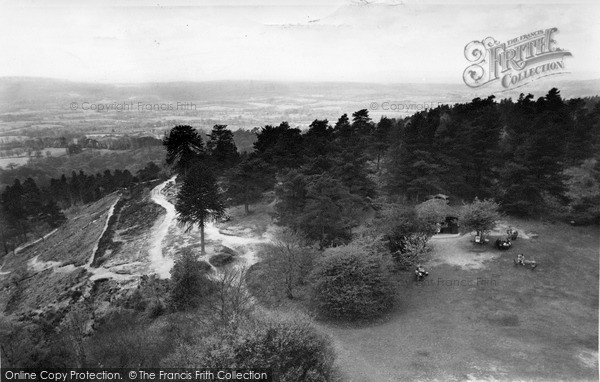 Photo of Leith Hill, View From The Tower c.1955
