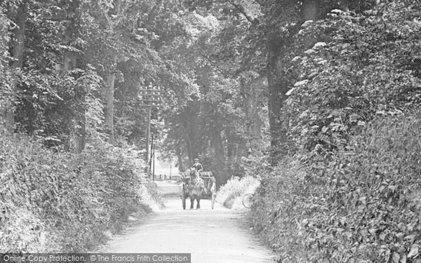 Photo of Letchworth, Cart In Letchworth Lane 1913