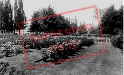 Letchworth, The J. F. Kennedy Gardens c.1965, Letchworth Garden City