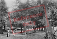 Springs 1904, Lexden