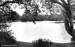 Leytonstone, Hollow Pond c1955
