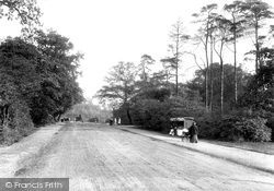 Whipps Cross Road 1906, Leytonstone
