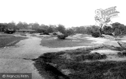 Whipps Cross, View From Hollow Pond 1906, Leytonstone