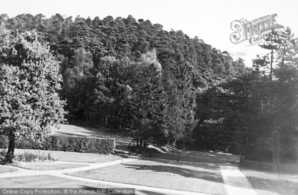Photo of Lickey, The Park c.1955