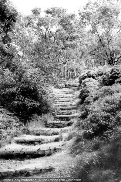 Photo of Lickey, The Steps, Lickey Hills c.1960