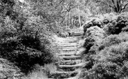 Lickey, the Steps, Lickey Hills c1960