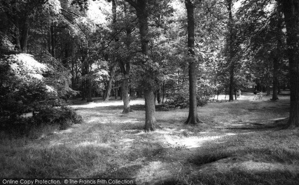 Photo of Lickey, The Woods c.1965