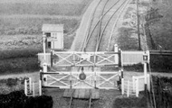 The Level Crossing c.1900, Lifton