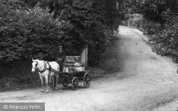 Horse And Cart 1906, Limpsfield