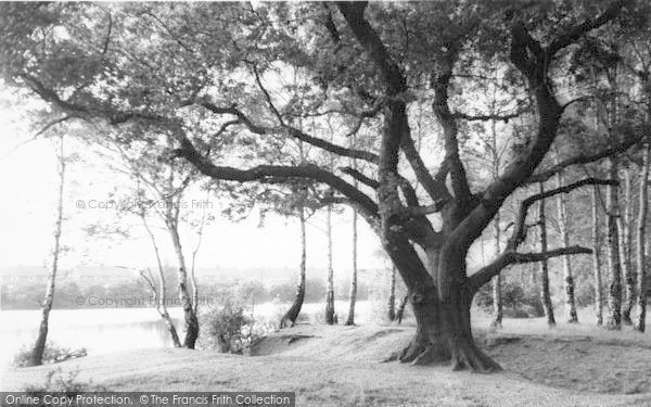 Photo of Lincoln, Hartsholme Lake c.1965