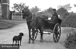 Horse And Cart 1899, Lindford