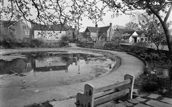 The Pond 1959, Lingfield