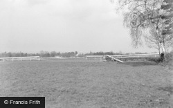 The Racecourse 1951, Lingfield
